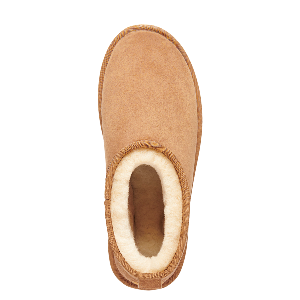 Stinger micro | Chestnut