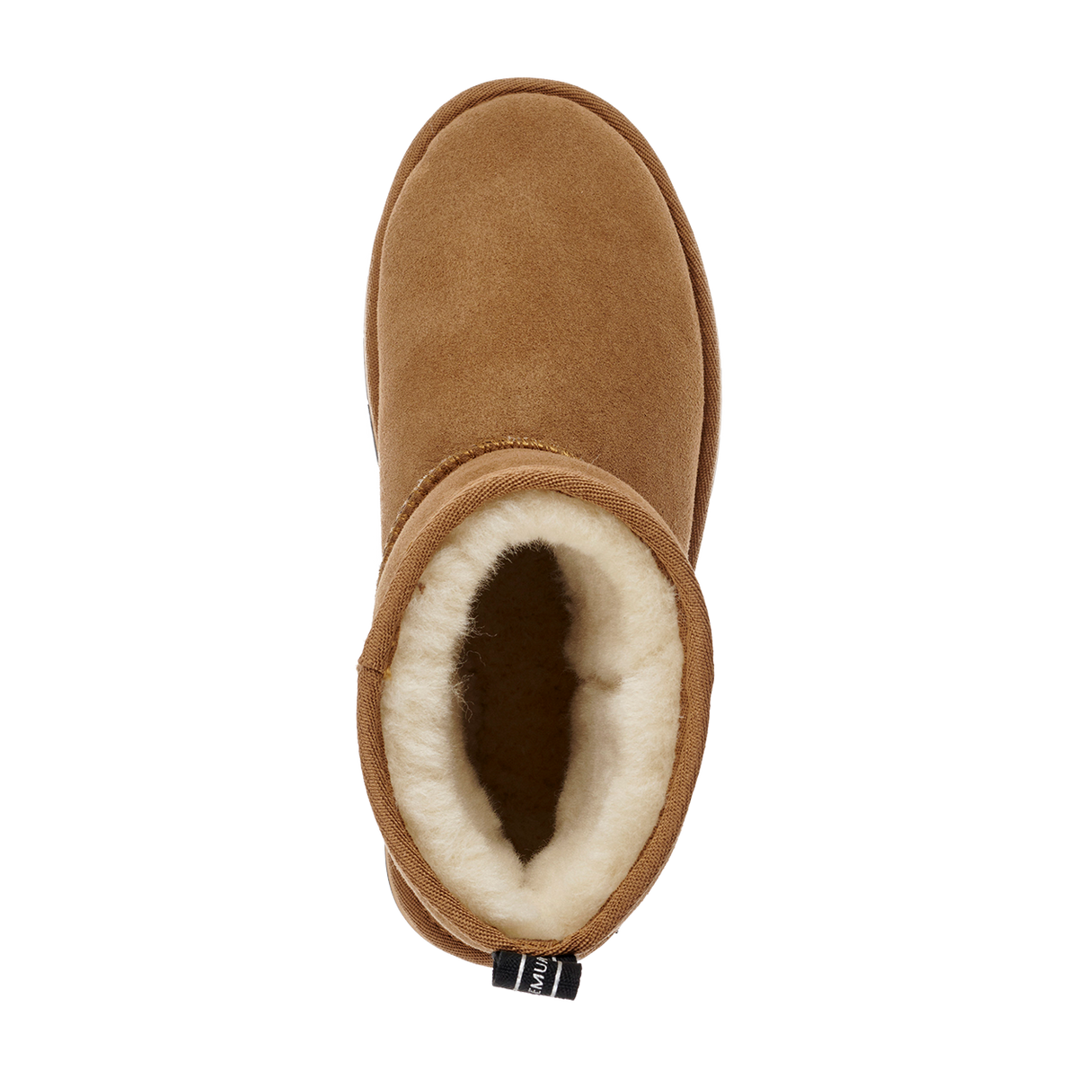 Sharky mini | Chestnut