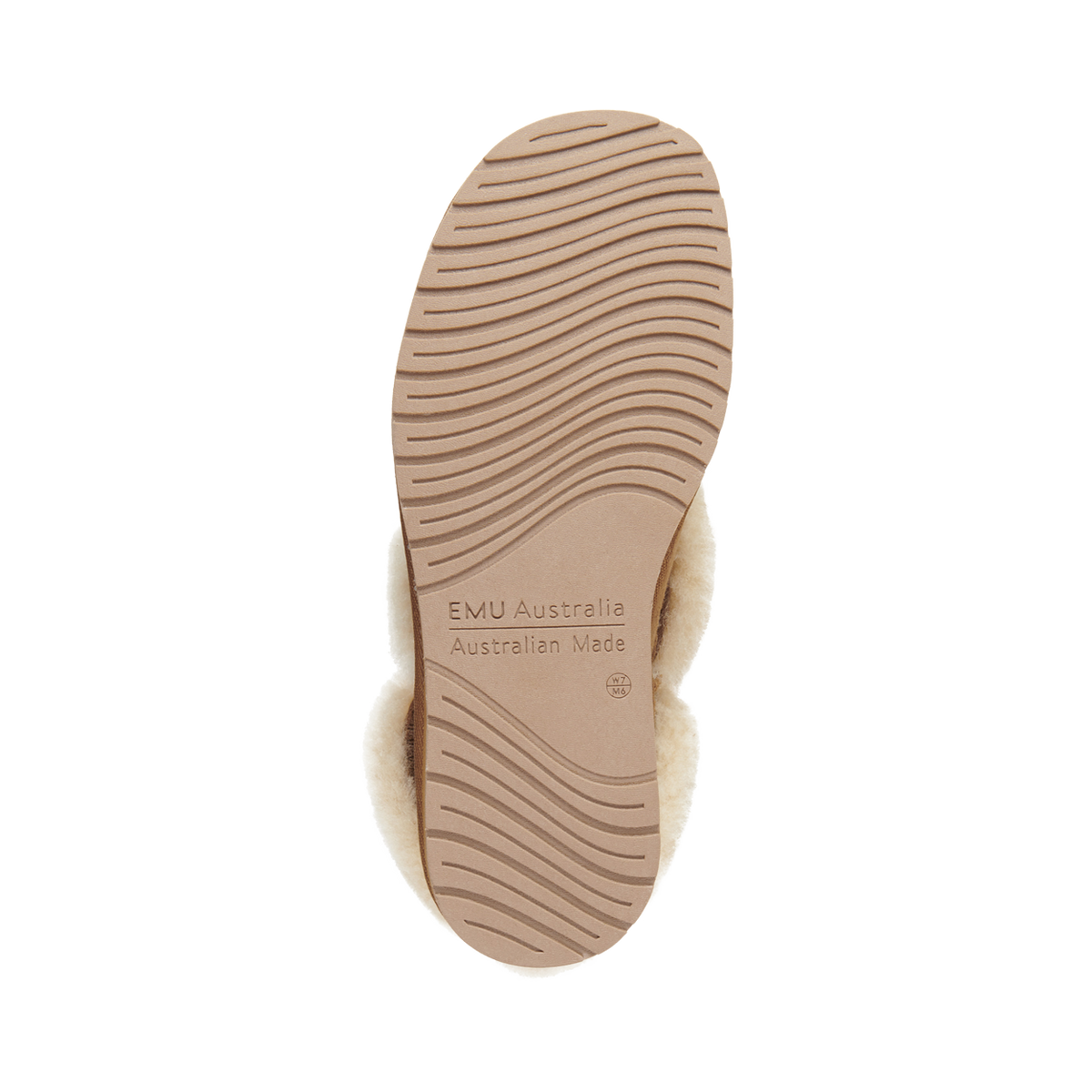 Platinum mintaro | Chestnut