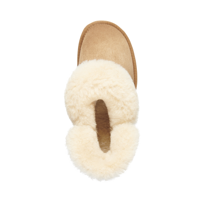 Platinum mintaro | Chestnut